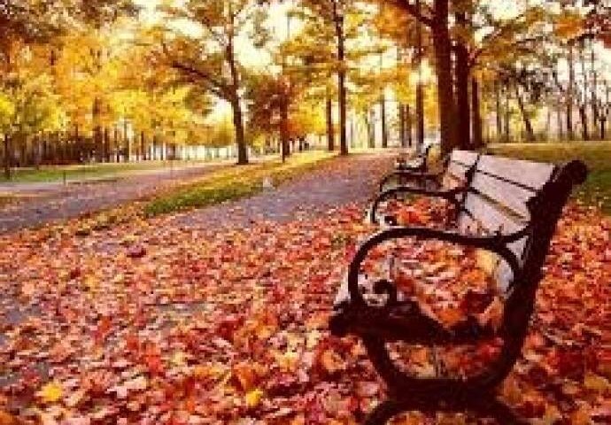 Cómo lograr salones cálidos para este otoño