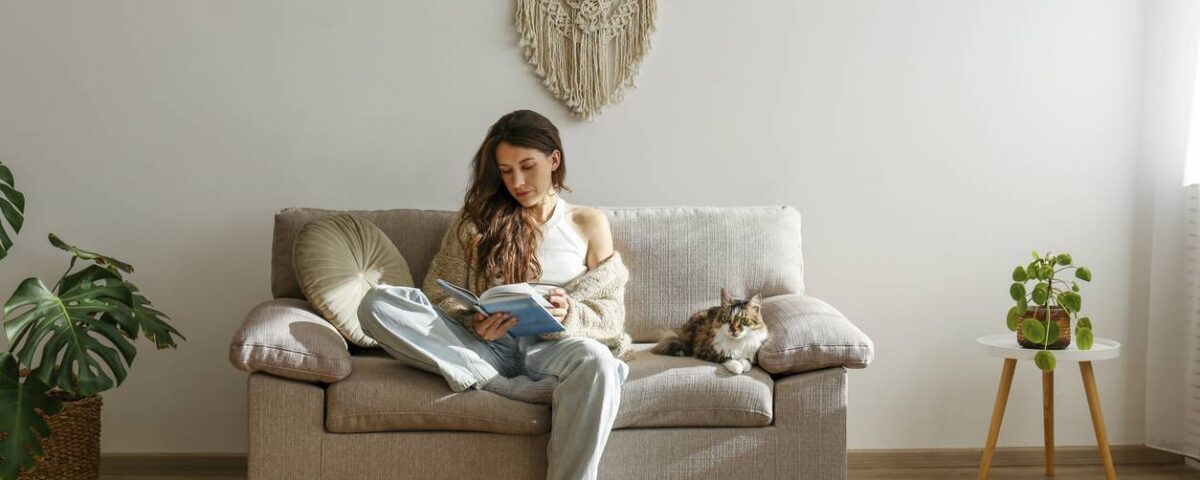 Cuánto pesa un sofá cama de dos plazas