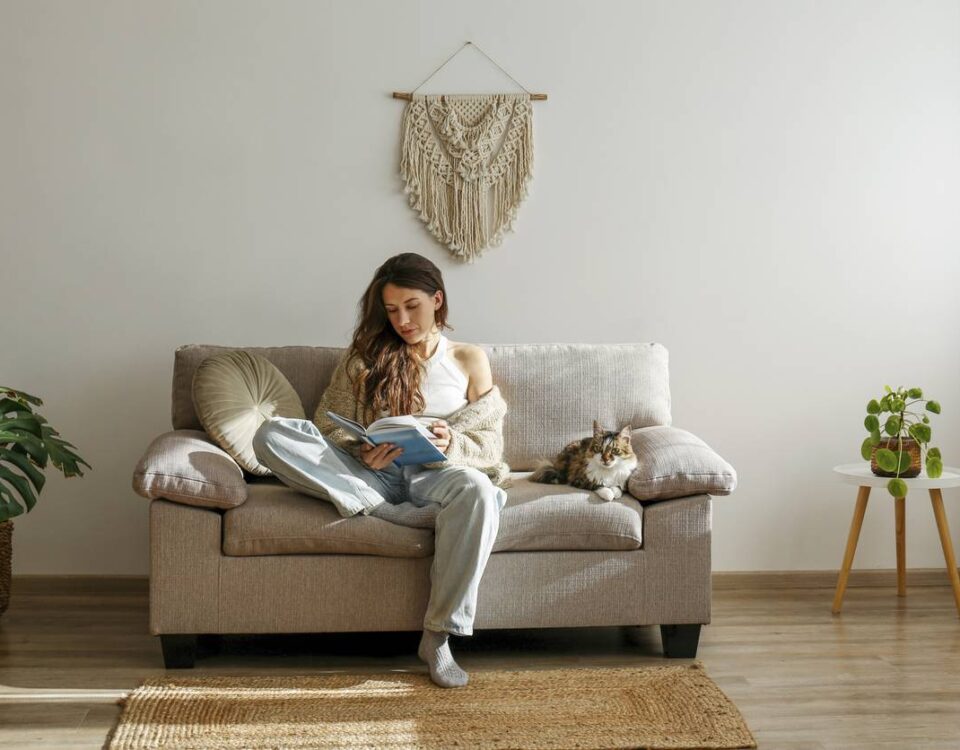 Cuánto pesa un sofá cama de dos plazas